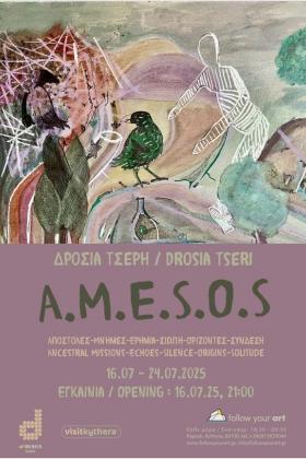 A.M.E.S.O.S -- poster or photo of exhibited artwork
